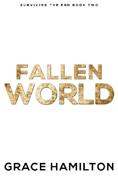 Fallen World