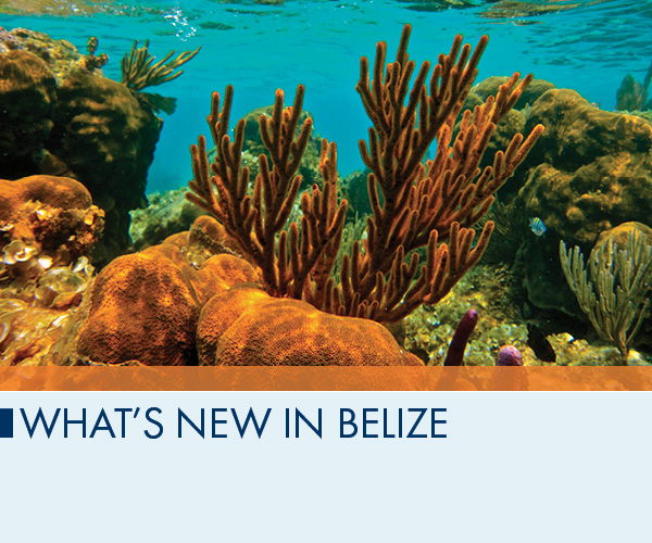 What’s New in Belize