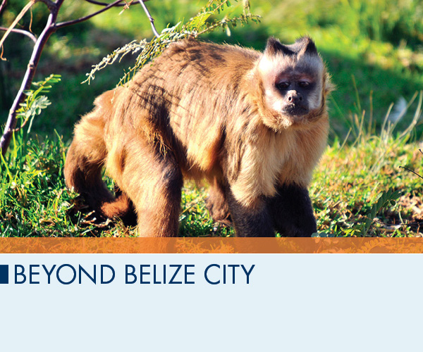 Beyond Belize City