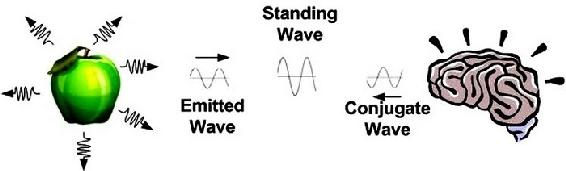 http://journalofcosmology.com/images/EdgarMitchellFigure3.jpg