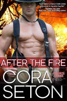 Mini-Cover for After the Fire