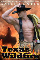 Mini-Cover for Texas Wildfire