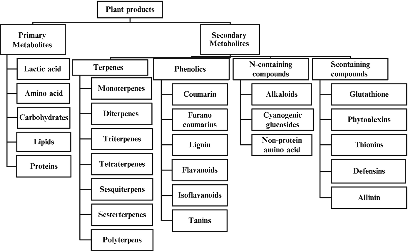 ../images/470709_1_En_6_Chapter/470709_1_En_6_Fig1_HTML.png