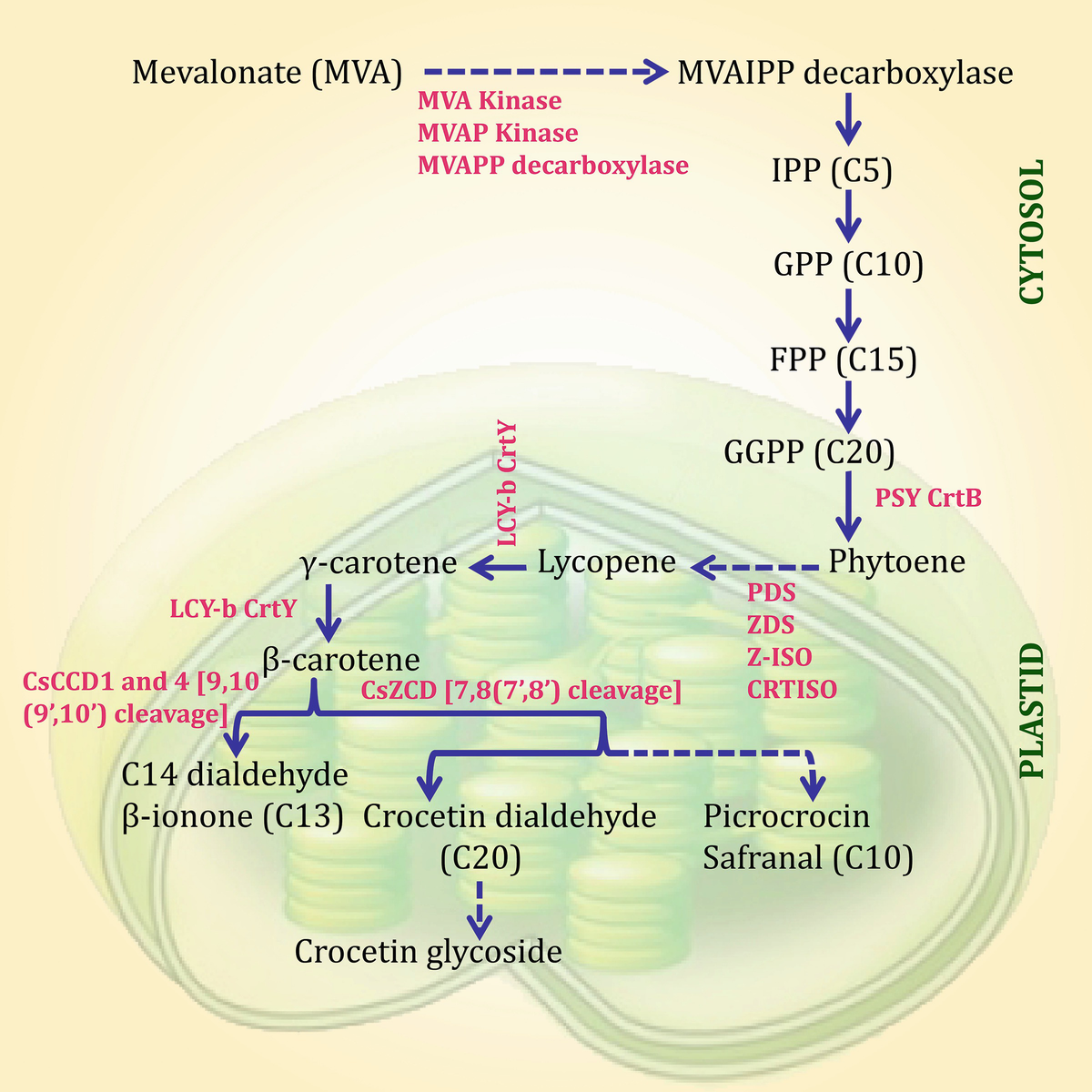 ../images/470709_1_En_8_Chapter/470709_1_En_8_Fig3_HTML.png