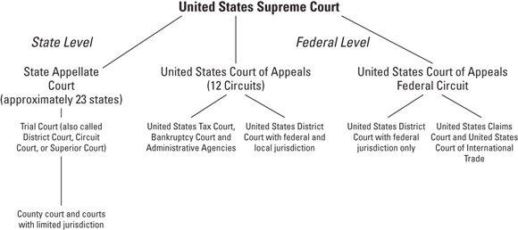 Flow chart presenting the hierarchy of the federal and state judicial systems of the United States Supreme Court.