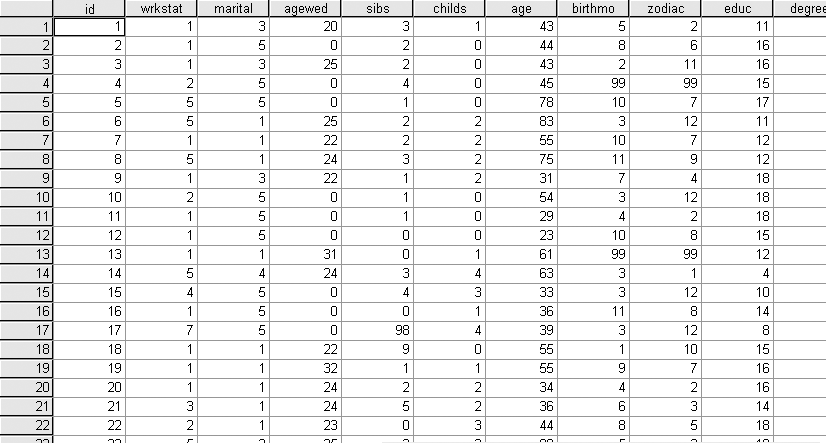 Rectangular data file in SPSS