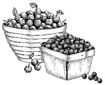 116_blueberries.tif