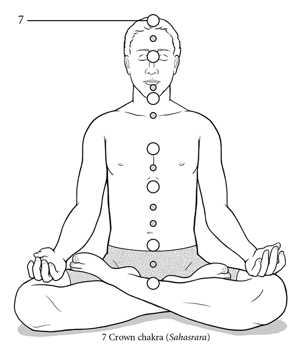 Figure 12: Seventh Chakra