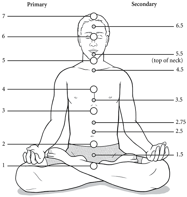 Figure 1: Primary and Secondary Chakras