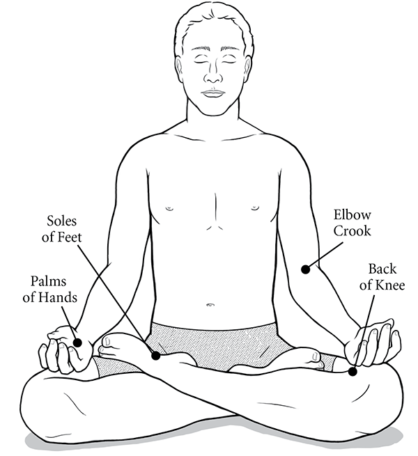 Figure 2: Tertiary Chakras