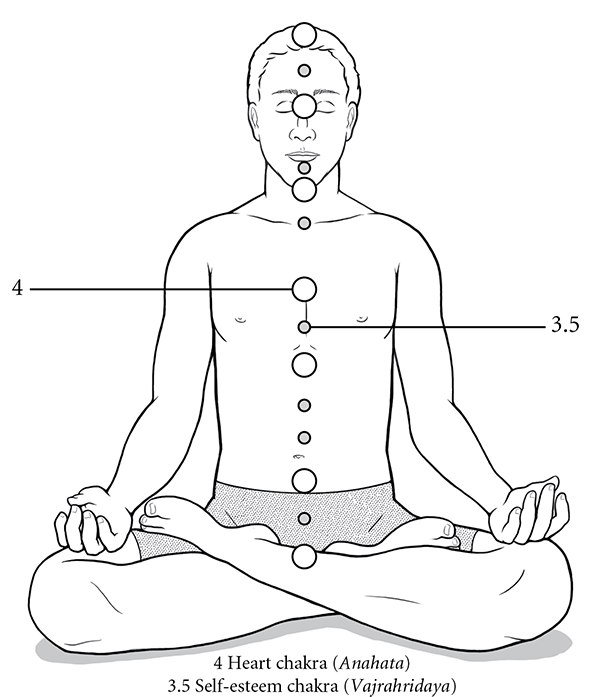 Figure 9: Fourth Chakra