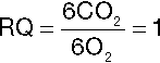 si24_e