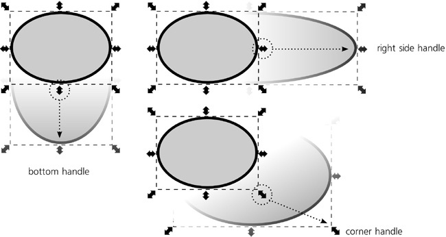 Scaling with the Selector tool