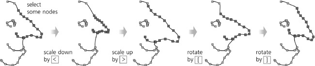 Transforming selected nodes