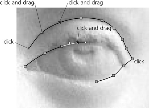 Manual tracing of a bitmap