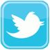 twitter_thumb.png