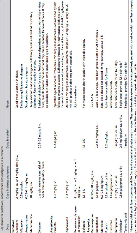 Table09-1