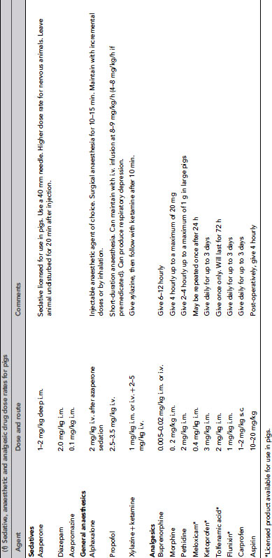 Table09-1