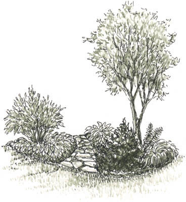 Images