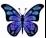 C:\Users\Alicia\AppData\Local\Microsoft\Windows\INetCache\IE\PTMTVS4C\clipart-butterfly-3[1].jpg