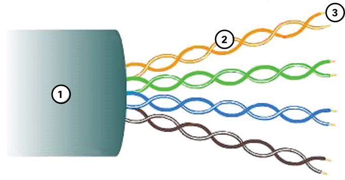 In the figure, the outer jacket, twisted pairs, and color-coded plastic insulation are marked.