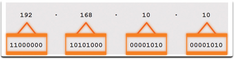 A figure shows the IP address of a computer and their respective octets. The dotted decimal here is 192.168.10.10. Below this are the following octets: 1101000, 00001010, 00001010, and 00001010. Each octet set here is highlighted separately.