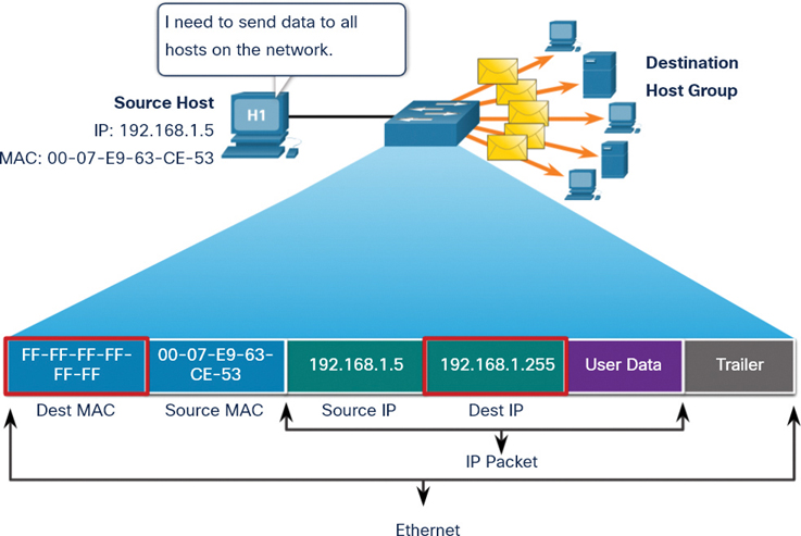 A network setup diagram aids in understanding a Broadcast Frame Transmission.