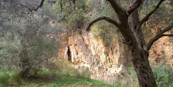 Abgeschieden und archaisch: von »Ein Koves« zum See Genezareth. Genau hier wird Jesus womöglich zweitausend Jahre vor mir entlanggegangen sein.