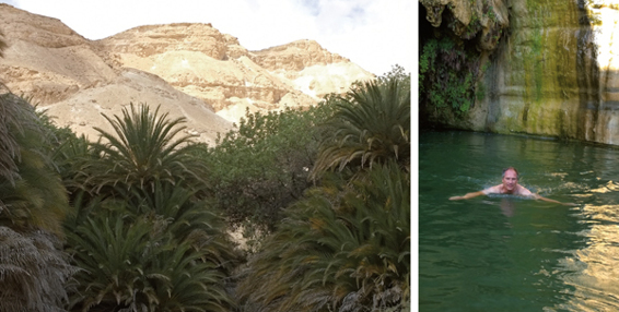 Palmen mitten in der Wüste: die Oase Upper Ein Akev. | Ein Bad in der eiskalten und kristallklaren Quelle »Ein Akev« ist das letzte Bad bis Timna Park (Nahe Eilat).