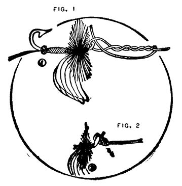 Ch42Fig1_2.jpg