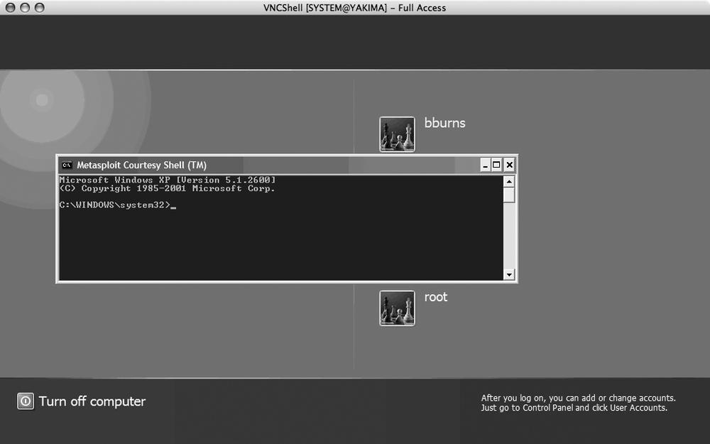 Metasploit VNC injection successful