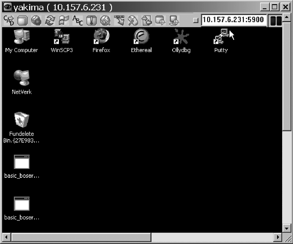 The VNC Viewer in action