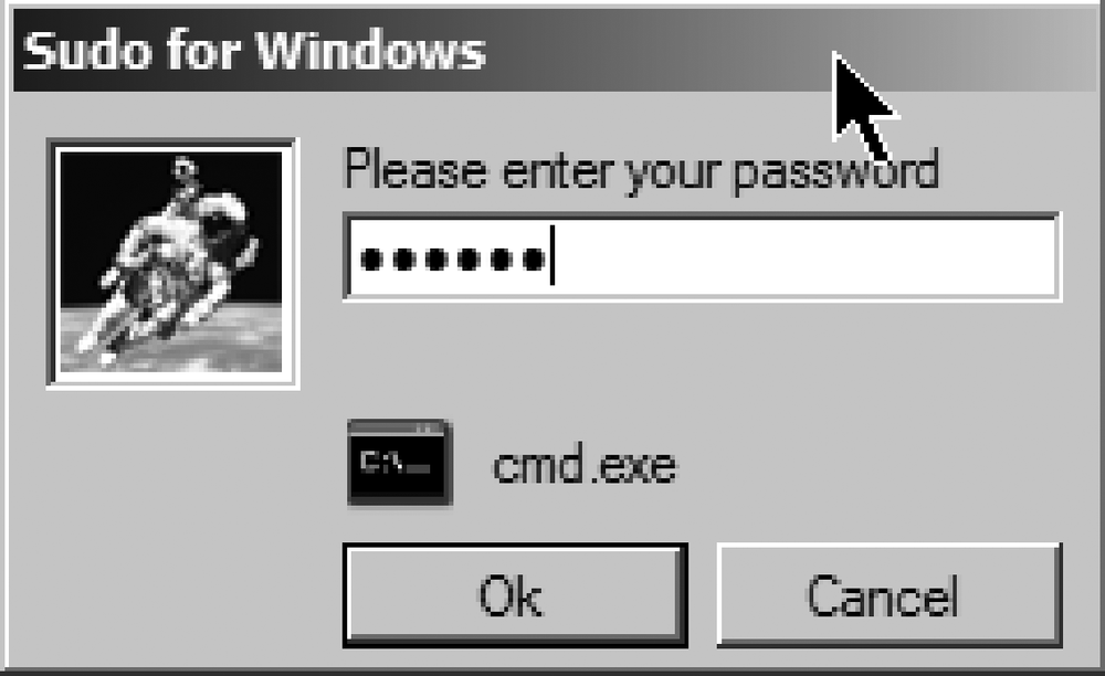 Enter your password into the dialog box