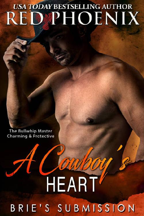 Cover for A Cowboy’s Heart