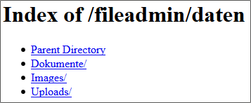 Das Directory-Listing ist sichtbar. 