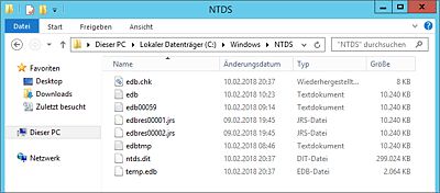 Inhalt des »NTDS«-Ordners  