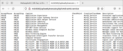 Die PHP-Funktion »shell_exec« hat »wmic service« ausgeführt.  