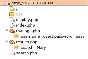 Das Burp-Site-Map-Fenster zeigt die einzelnen Aufrufe mit zugehörigen Parametern.  