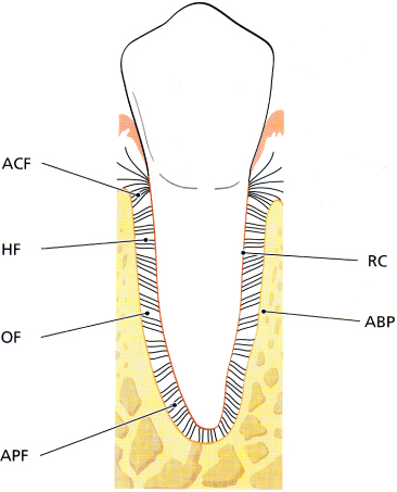 c03f009