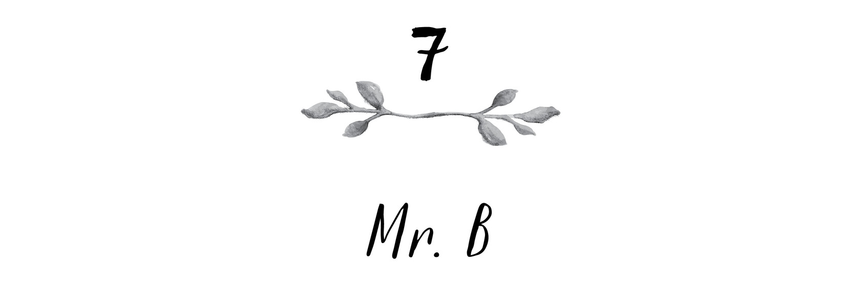 7 Mr. B