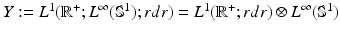 $$ Y: = L^1 (\mathbb{R}^ + ;L^\infty (\mathbb{S}^1 );rdr) = L^1 (\mathbb{R}^ + ;rdr) \otimes L^\infty (\mathbb{S}^1 ) $$