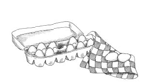 12_Eggs.tif