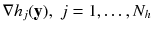 $$\nabla h_j(\mathbf {y}), \; j = 1, \ldots ,N_h$$