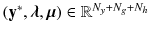 $$\left( \mathbf {y}^*, \varvec{\lambda }, \varvec{\mu }\right) \in \mathbb {R}^{N_y + N_g + N_h}$$