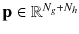 $$\mathbf {p} \in \mathbb {R}^{N_g+N_h}$$