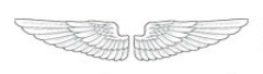 angelwings