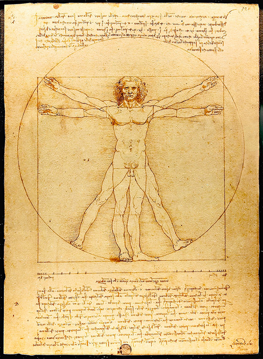  Leonardo da Vinci, , c. 149 0