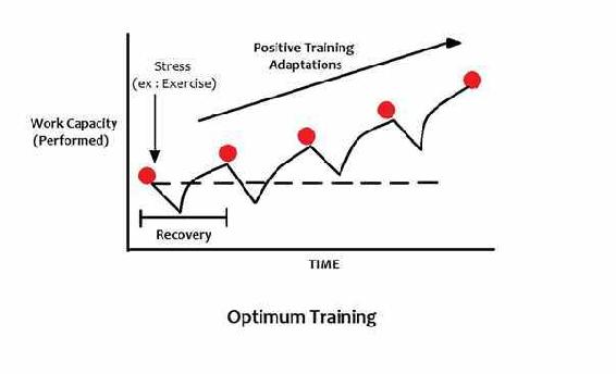 General Adaptation Syndrome Optimum Training