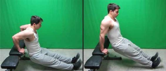 bench dips